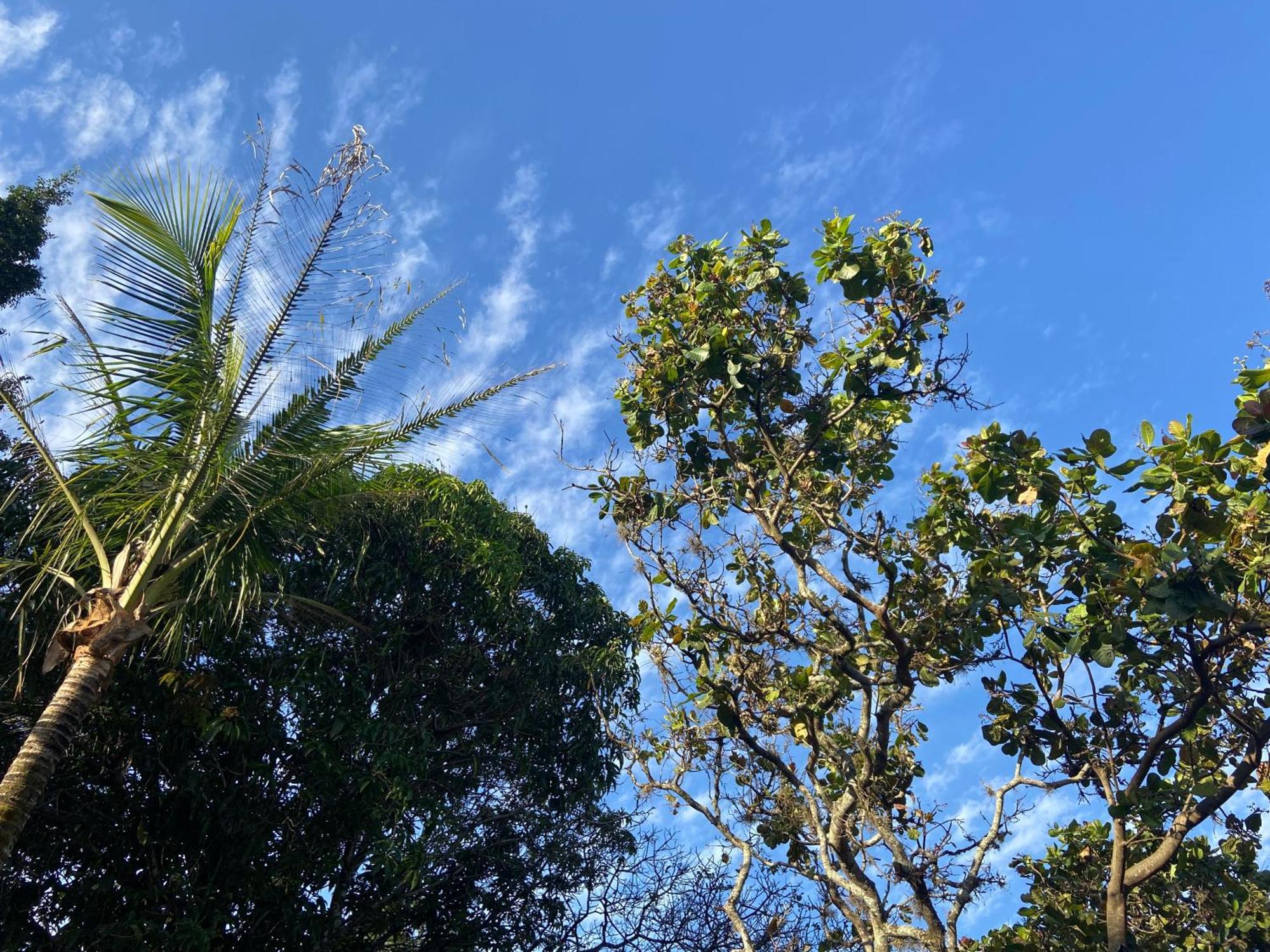 Quarto Privativo Chacara Pe Na Roca Brotas Esterno foto