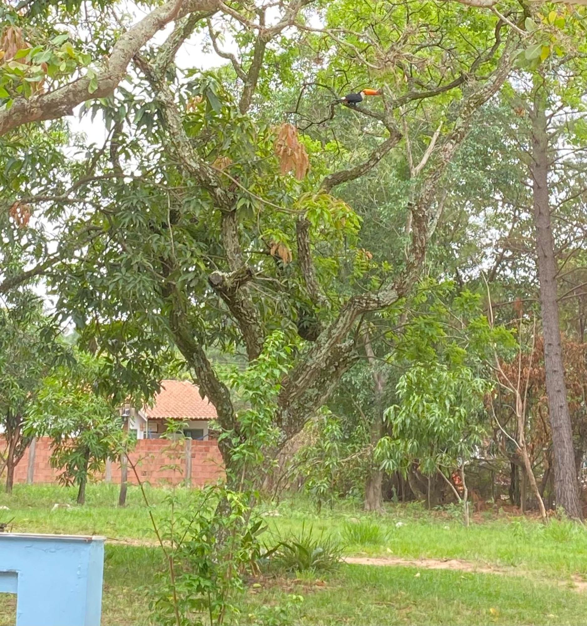 Quarto Privativo Chacara Pe Na Roca Brotas Esterno foto