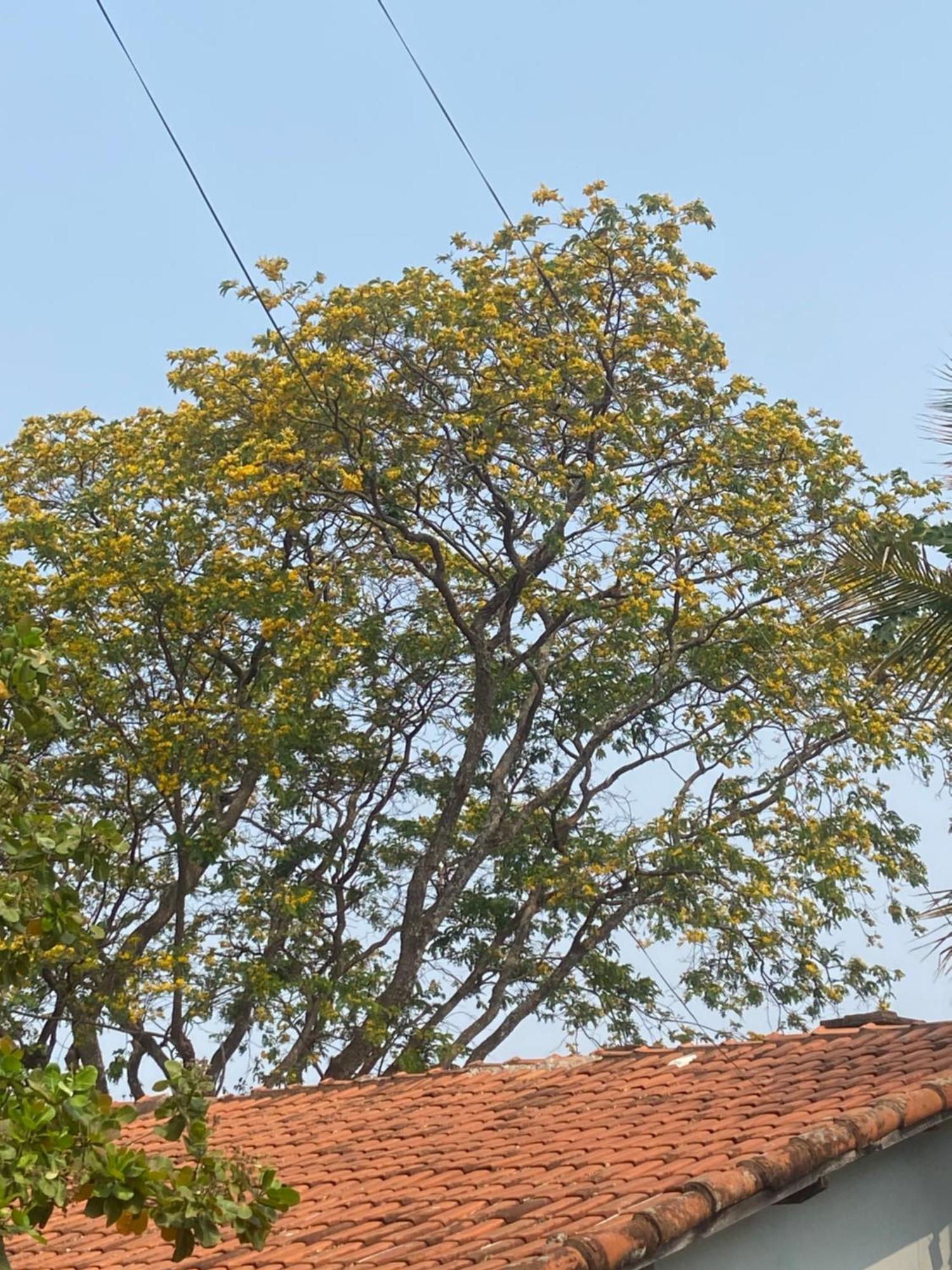 Quarto Privativo Chacara Pe Na Roca Brotas Esterno foto